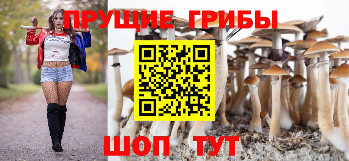 как найти   Галлюциногенные грибы ЛСД  Вход с VPN  Магнитогорск 